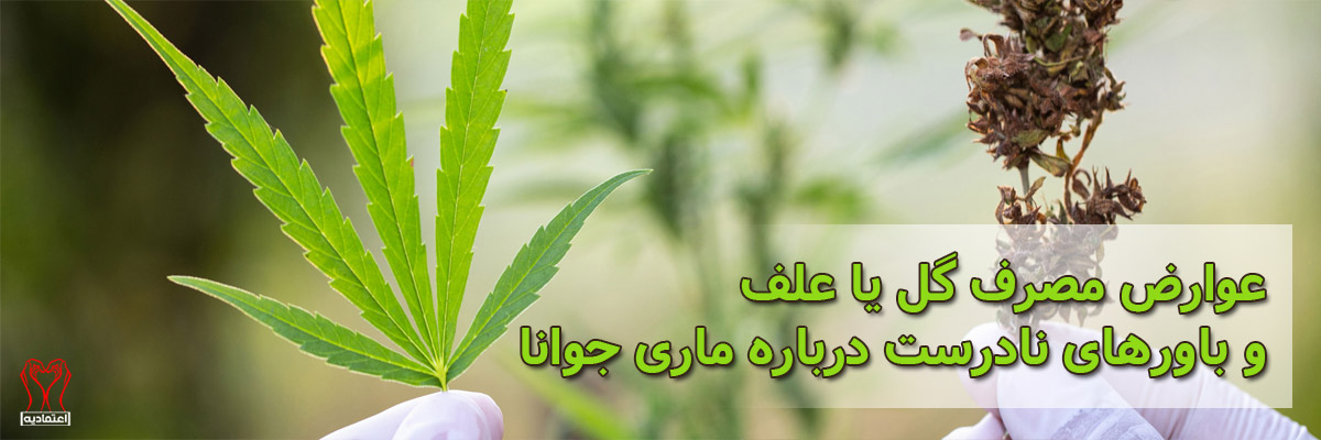 عوارض مصرف گل