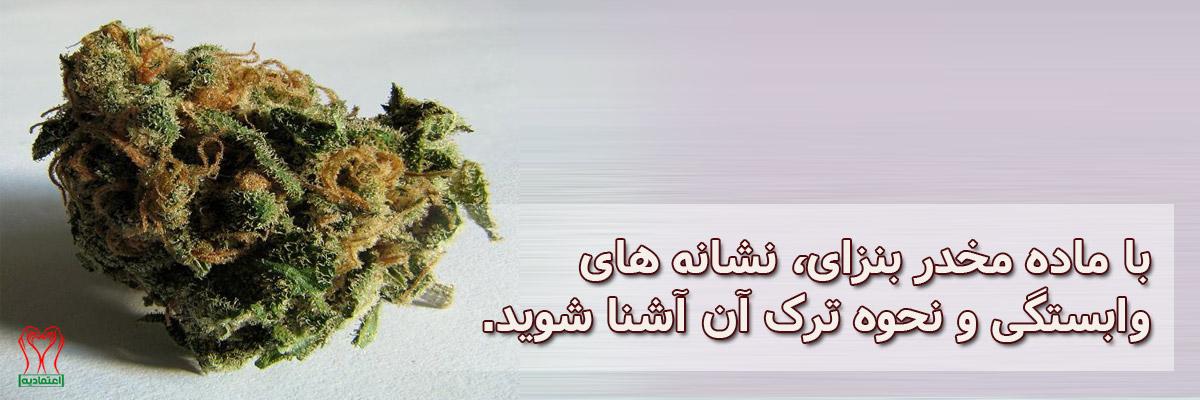 بنزای