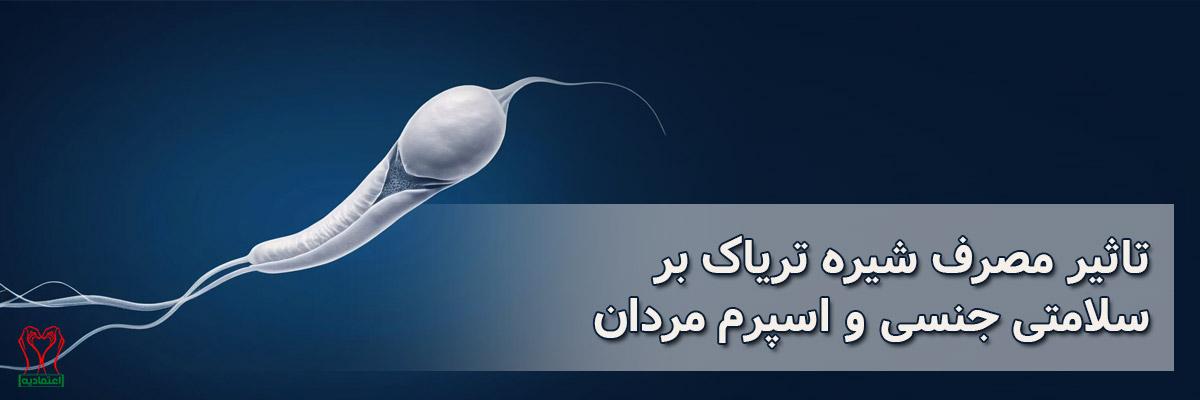 اسپرم