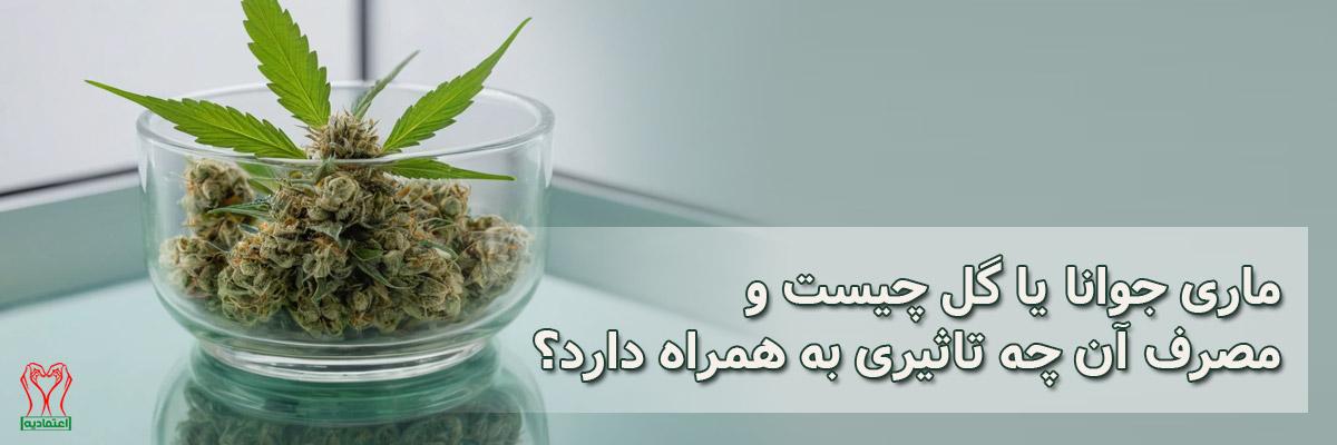 ماری جوانا