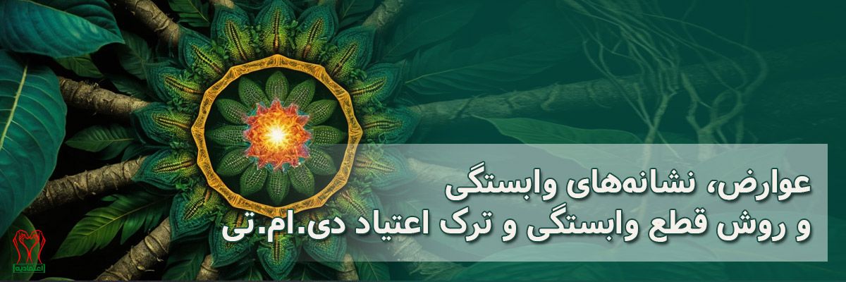 دی ام تی