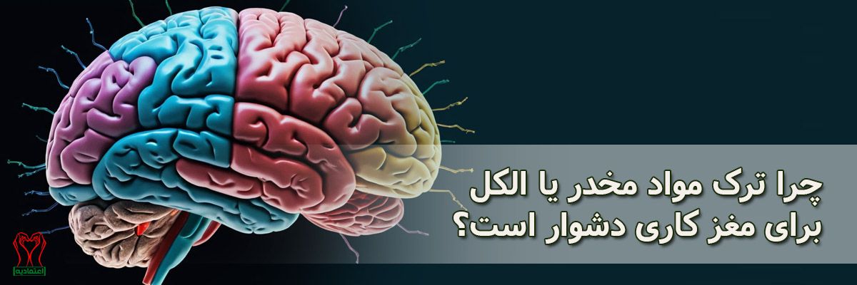 مغز