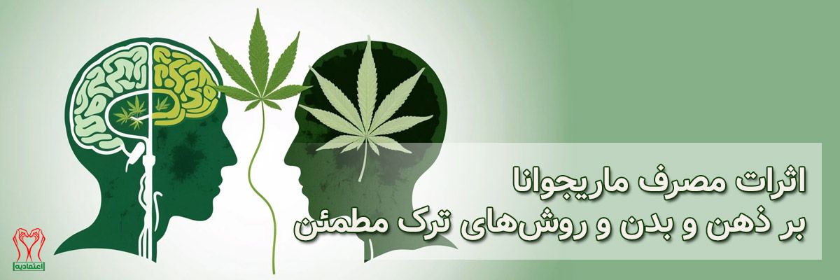 ماریجوانا